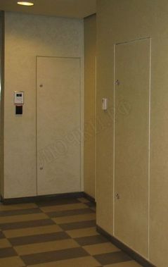 Люк под покраску Техно 900*500 Люк под покраску Техно 900*500